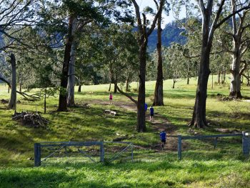 COVID Cross Country Championships