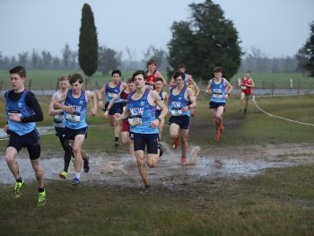 2024 Australian Cross Country Championships